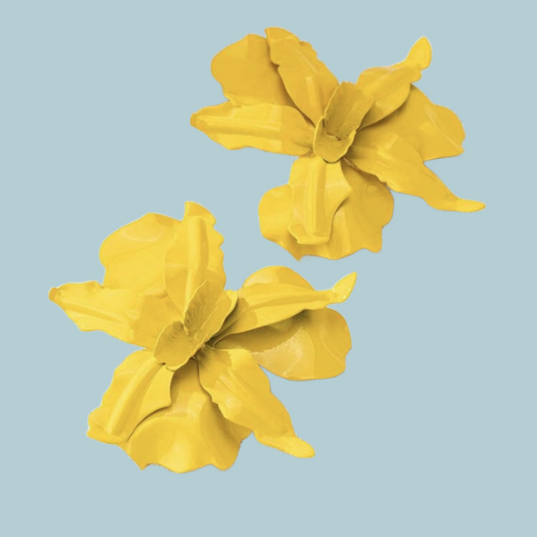 Conceited (Yellow)