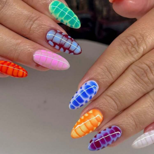 Vibrant Croc
