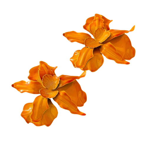 Conceited (Orange)